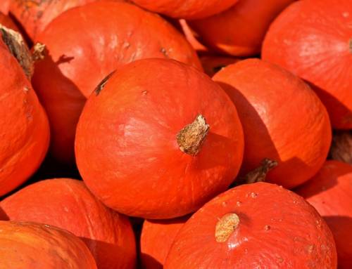 Tagesessen Oktober